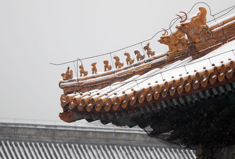 第二场雪 | 镜头(七)故宫闭馆 大雪“敲门”