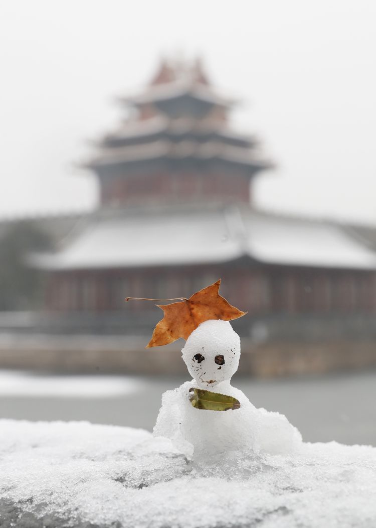 第二场雪 | 镜头(七)故宫闭馆 大雪“敲门”