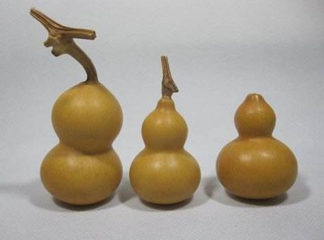 12.17号起时来运转,财神关照,富得流油的4大生肖