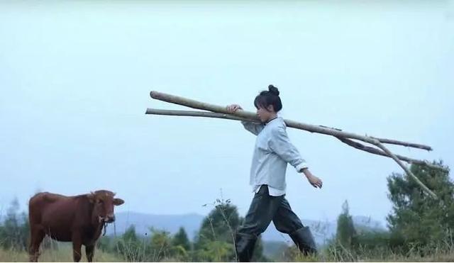 爆红全球的李子柒,疗愈了谁的痛....