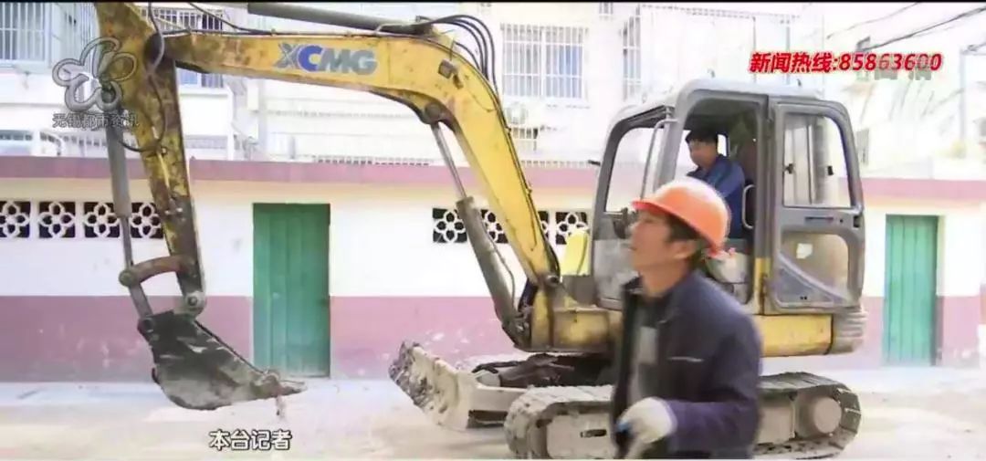 哈哈哈…为救被困树上的猫,无锡这个小区的居民也是很拼了
