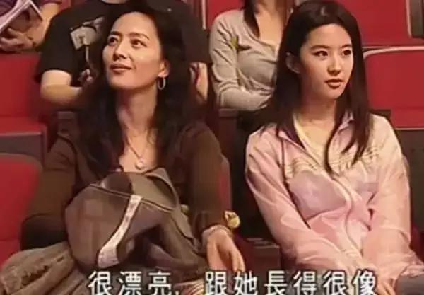 60岁“神仙姐姐”:美翻网友,寸步不离刘亦菲,与陈金飞关系不浅