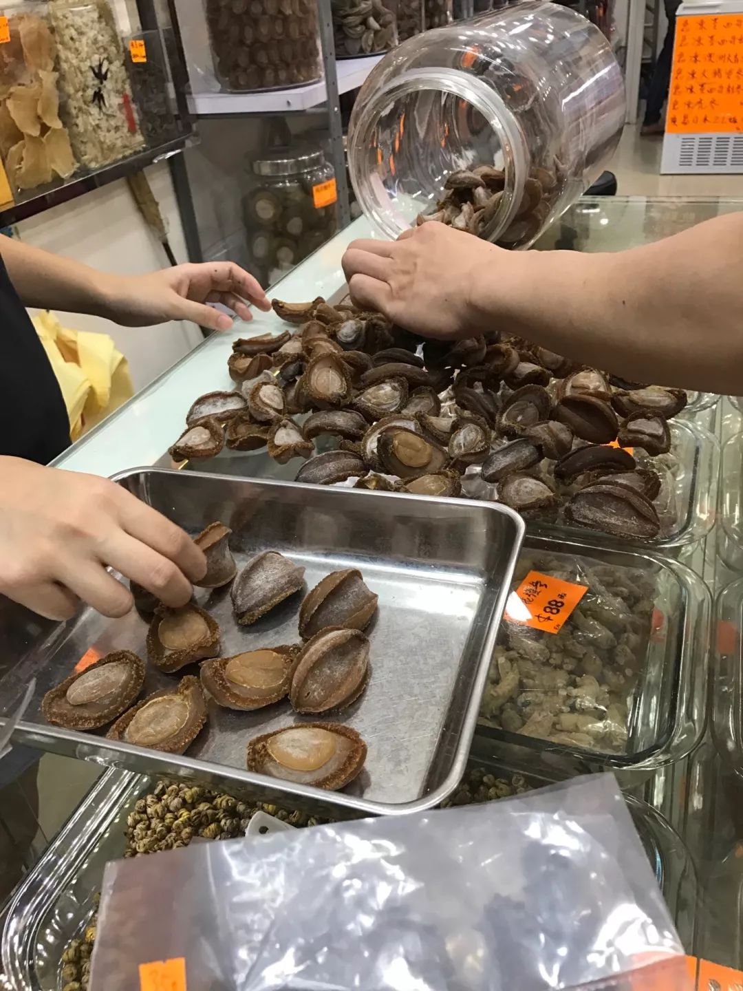 昔日贡品如今跌成白菜价,鲍鱼你咋了!