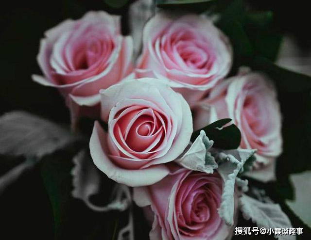 有一种爱,见与不见都会想念