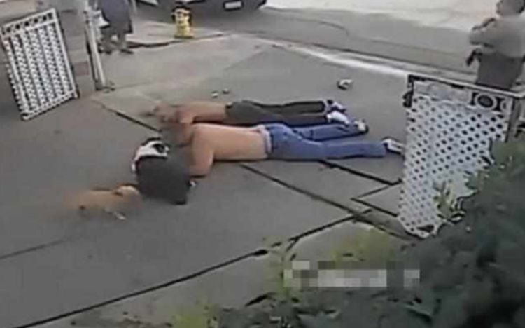 两大汉打架,爱犬发现主人被揍,竟舔男子的脸干扰他!