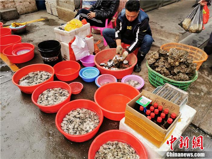 广东侨乡台山冬季“蚝”市兴旺