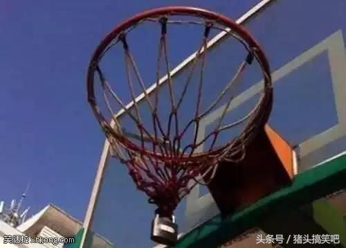 搞笑GIF:妹子,你这样上房子追男朋友,可把他乐坏了!