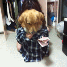 搞笑GIF:妹子,你这样上房子追男朋友,可把他乐坏了!