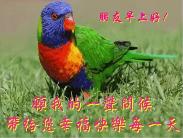 淡然地过着自己的生活,不要轰轰烈烈,只求安安心心,早安