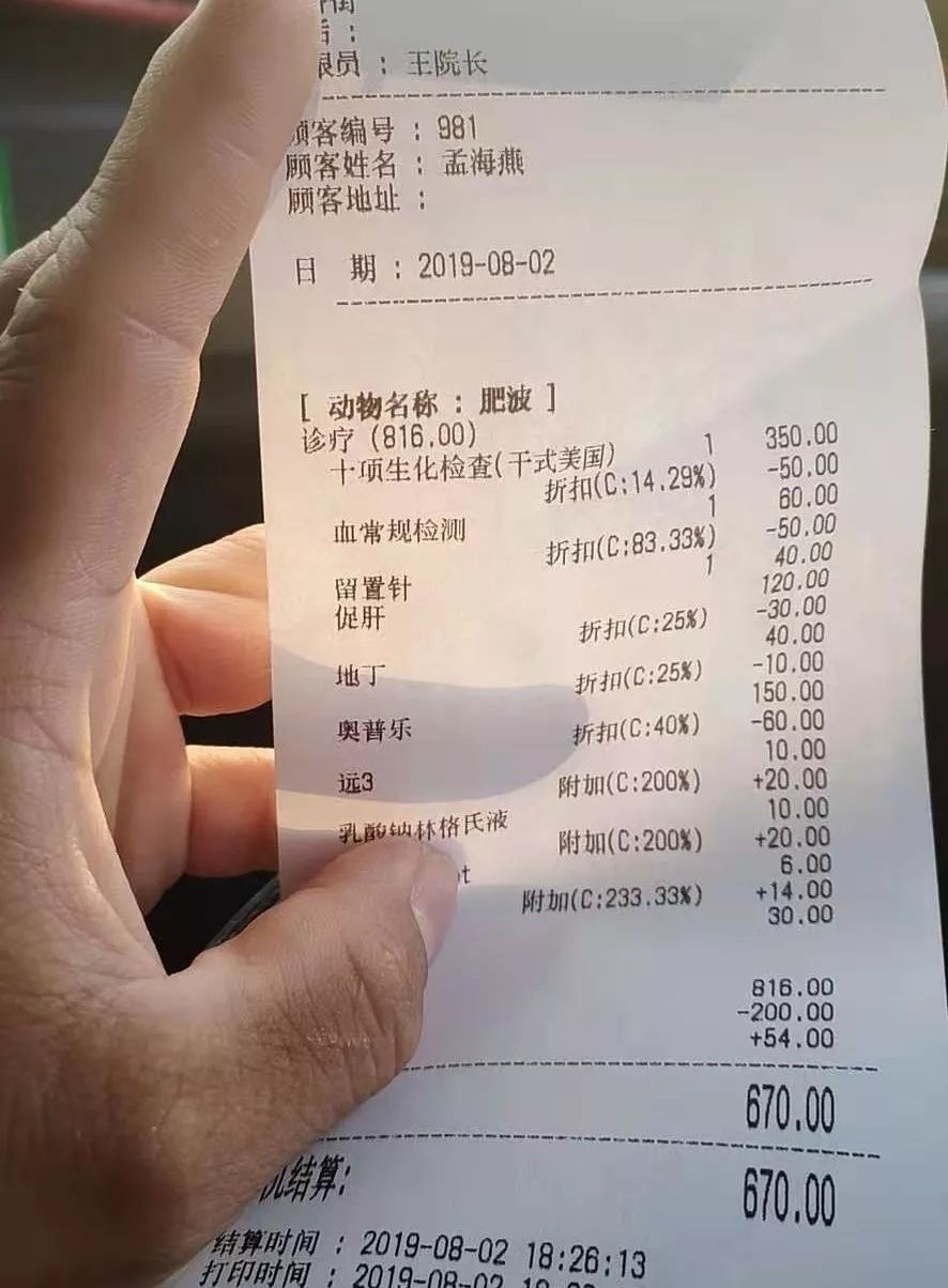 一只流浪狗,却长了一对“羊蹄”,洗完澡后宠物医生都惊了!