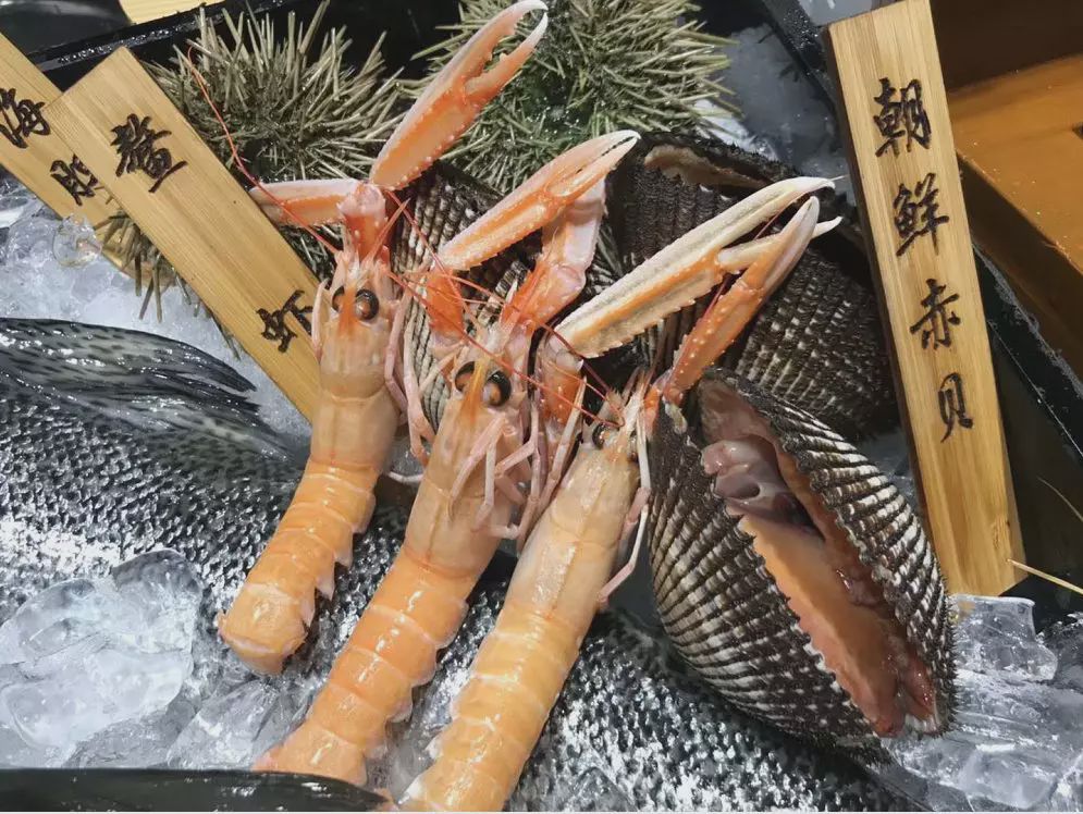 波龙、澳龙、蓝龙到底是什么龙?