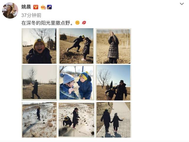 姚晨带儿女出游,土豆和茉莉阳光下尽情撒野,兄妹俩互动超有爱