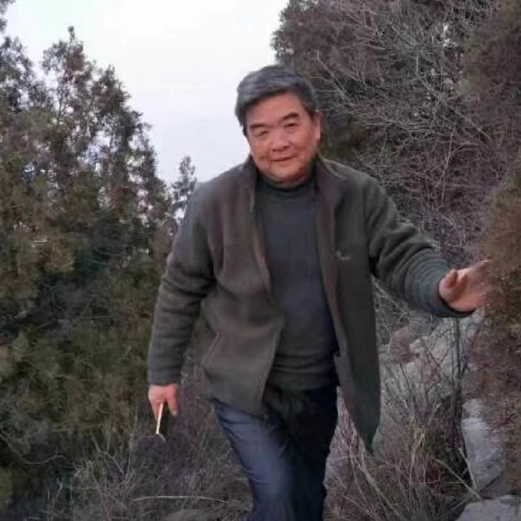 麦苗情思《散文》