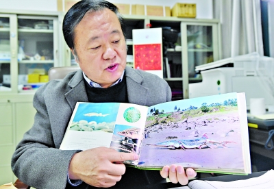 仅40余年淡水鱼之王渐行渐远,目前对白鲟的研究非常有限