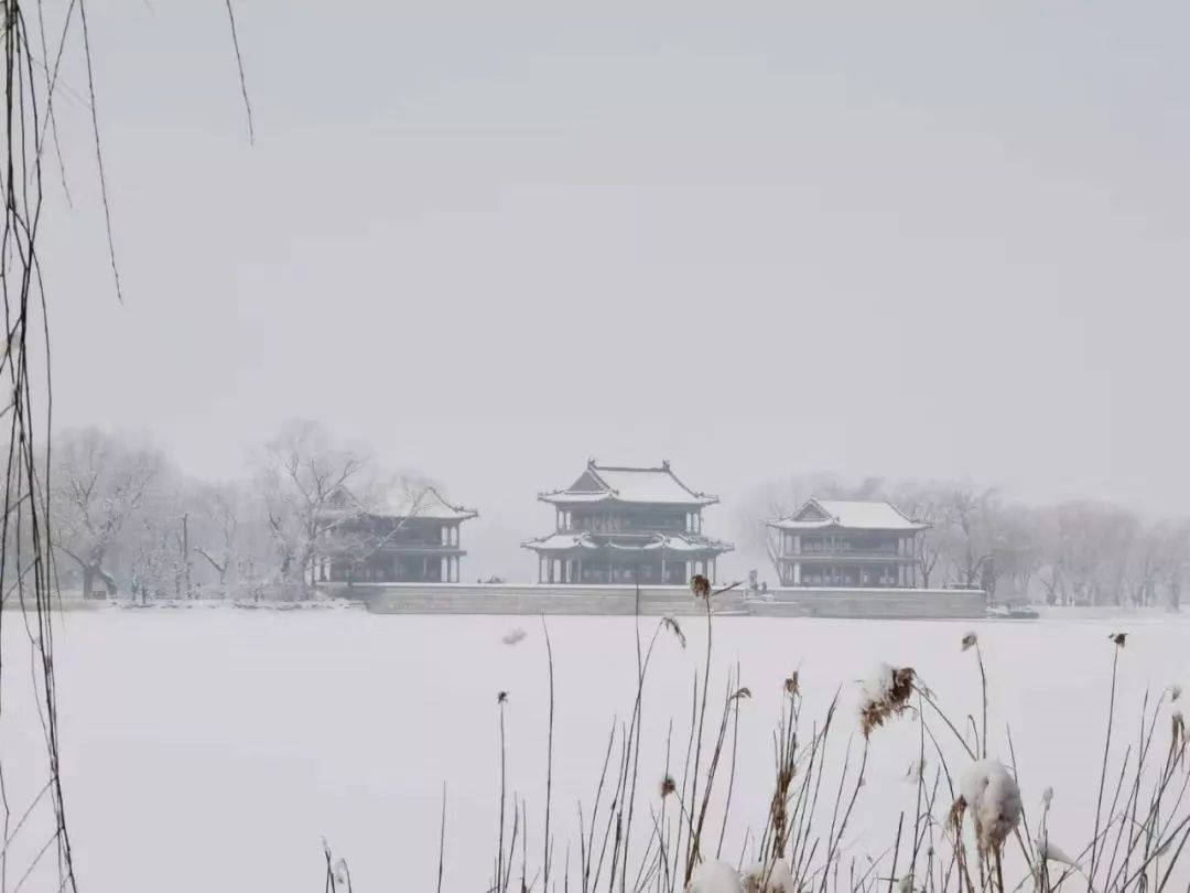 老俞闲话丨有的时候,我们生命需要一场雪