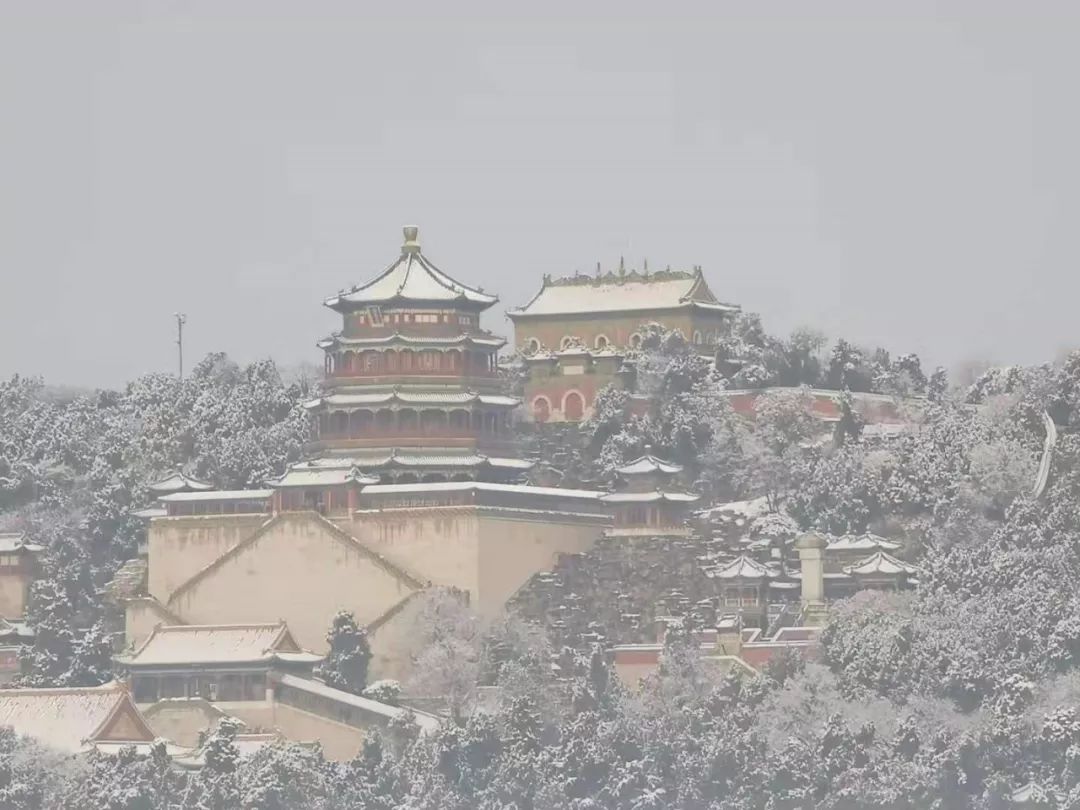 老俞闲话丨有的时候,我们生命需要一场雪