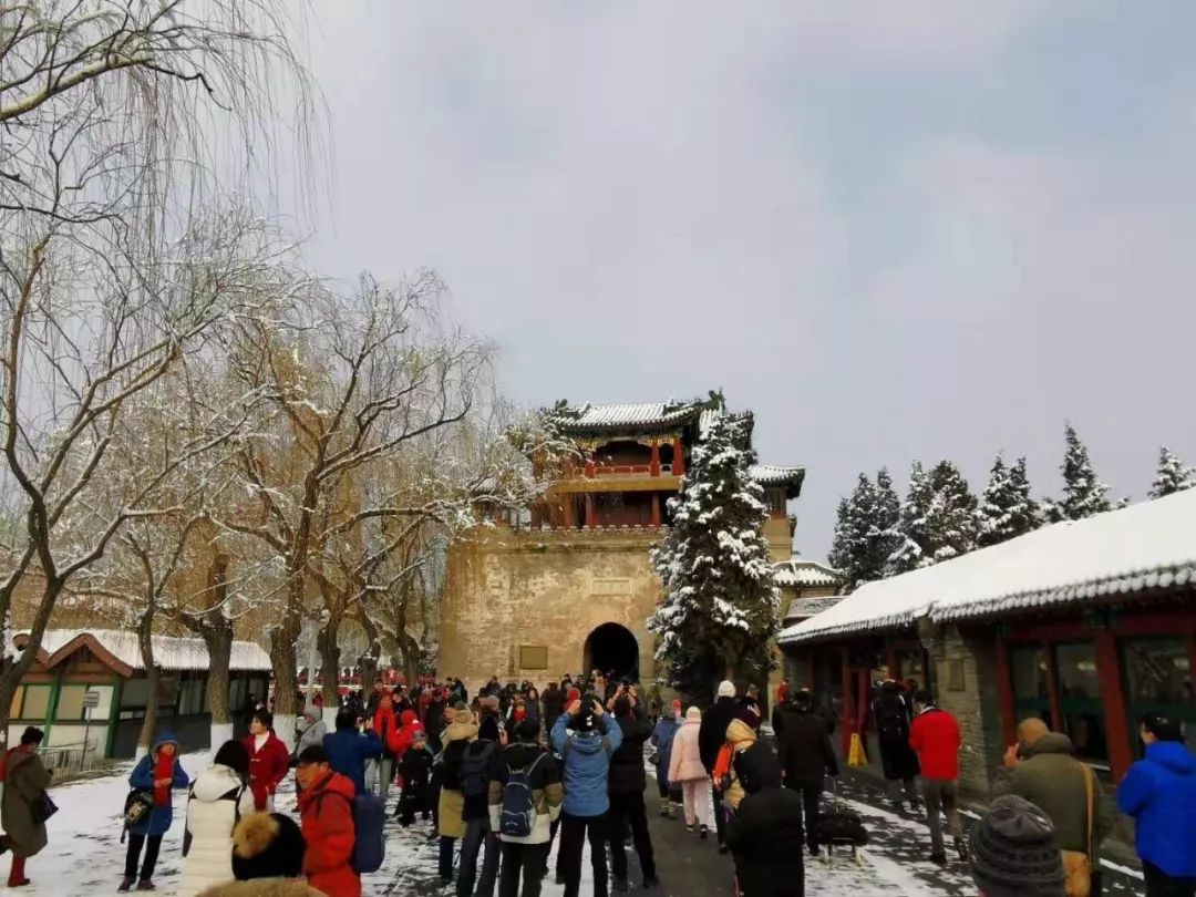 老俞闲话丨有的时候,我们生命需要一场雪