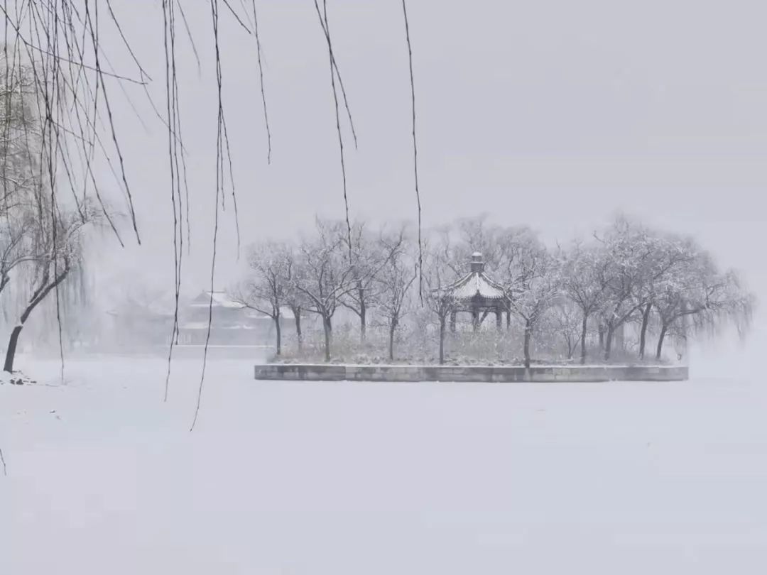 老俞闲话丨有的时候,我们生命需要一场雪