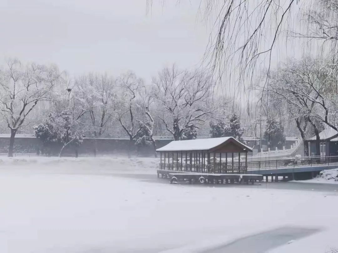 老俞闲话丨有的时候,我们生命需要一场雪