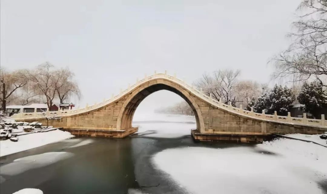 老俞闲话丨有的时候,我们生命需要一场雪