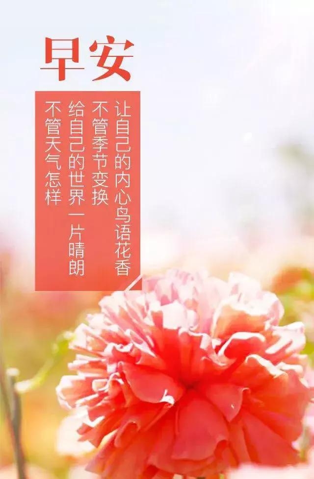 笑对自己的挫折和苦难,去做对,去努力,去争取成功,早安