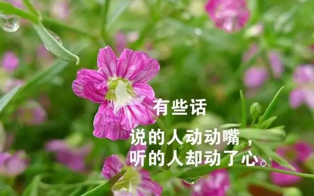 人生是道题,有错也有对,人生是场缘,有爱也有恨