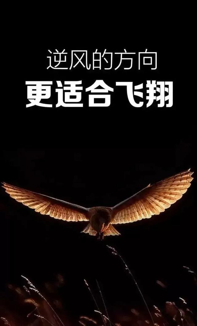 想要变得优秀,顺其自然是不可能的,你需要做很多
