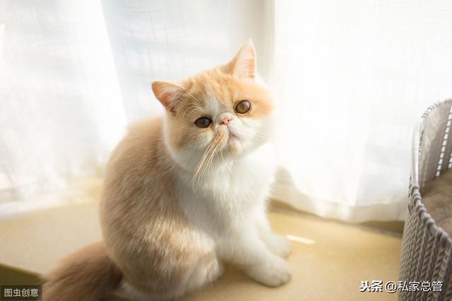 你若爱,生活哪里都可爱