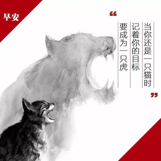 想要变得优秀,顺其自然是不可能的,你需要做很多