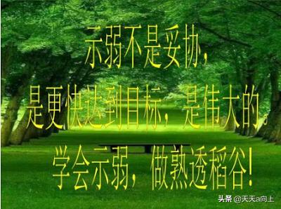 强者懂示弱,弱者才逞强——一个人越缺少什么,才越要炫耀什么
