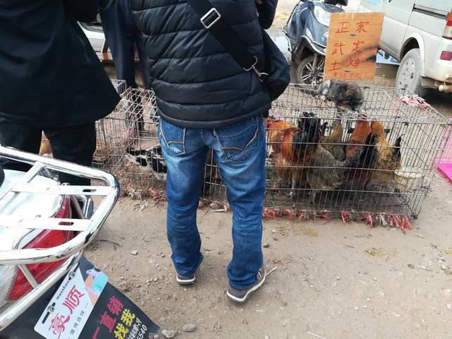 狗市:商贩卖狗的同时还卖土鸡,称:光卖狗的话,早就饿死了!