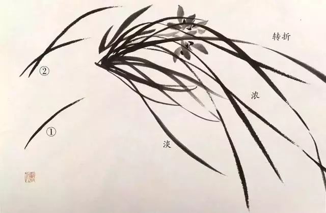 国画兰花绘画技法,太棒了