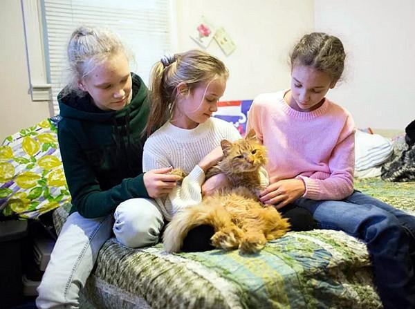 橘猫“葬身”火海,主人正伤心时被告知还活着,全靠跑的快