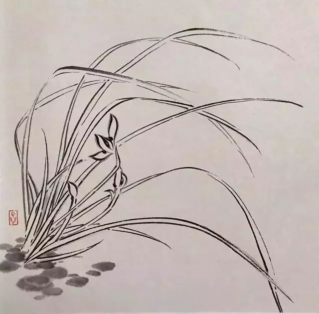 国画兰花绘画技法,太棒了