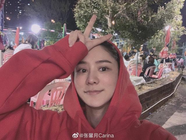 林峯张馨月结婚不足一个月已造人成功?婆婆急抱孙私下求助名医
