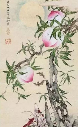 蝙蝠:由瑞兽到瘟神