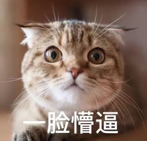 不好意思,这次猫狗不背锅!
