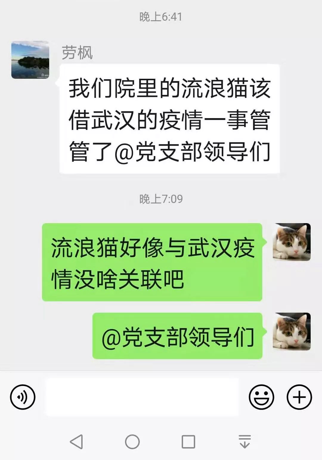 不好意思,这次猫狗不背锅!