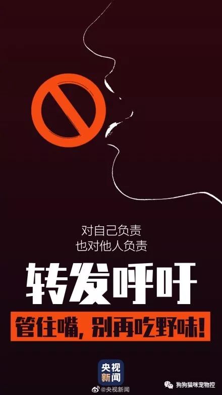 不好意思,这次猫狗不背锅!