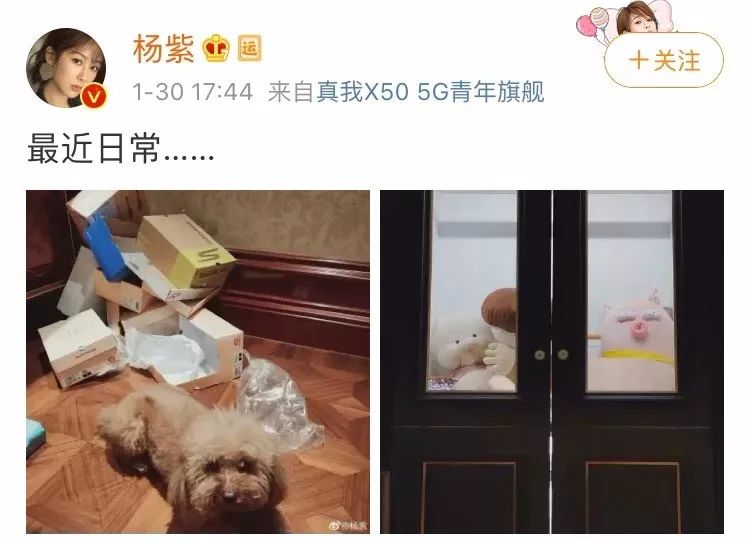 没剧没曝光流量明星都在干嘛?肖战邓伦忙着录ID,杨紫最接地气