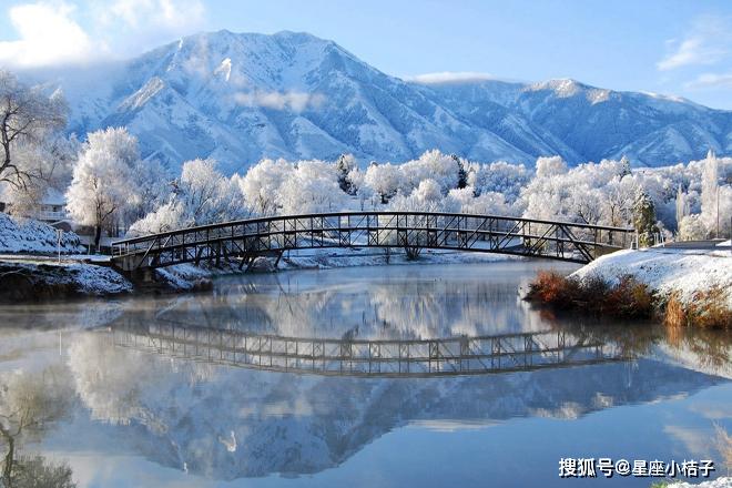 2月8日开始,财库丰盈,衣食无忧,运势升天的五大生肖