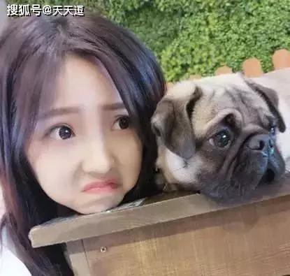 搞笑GIF趣图:妹子真的很像有木有