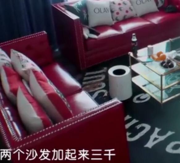 娱乐圈最节俭女明星,两个沙发3000元,女儿全身衣服更廉价