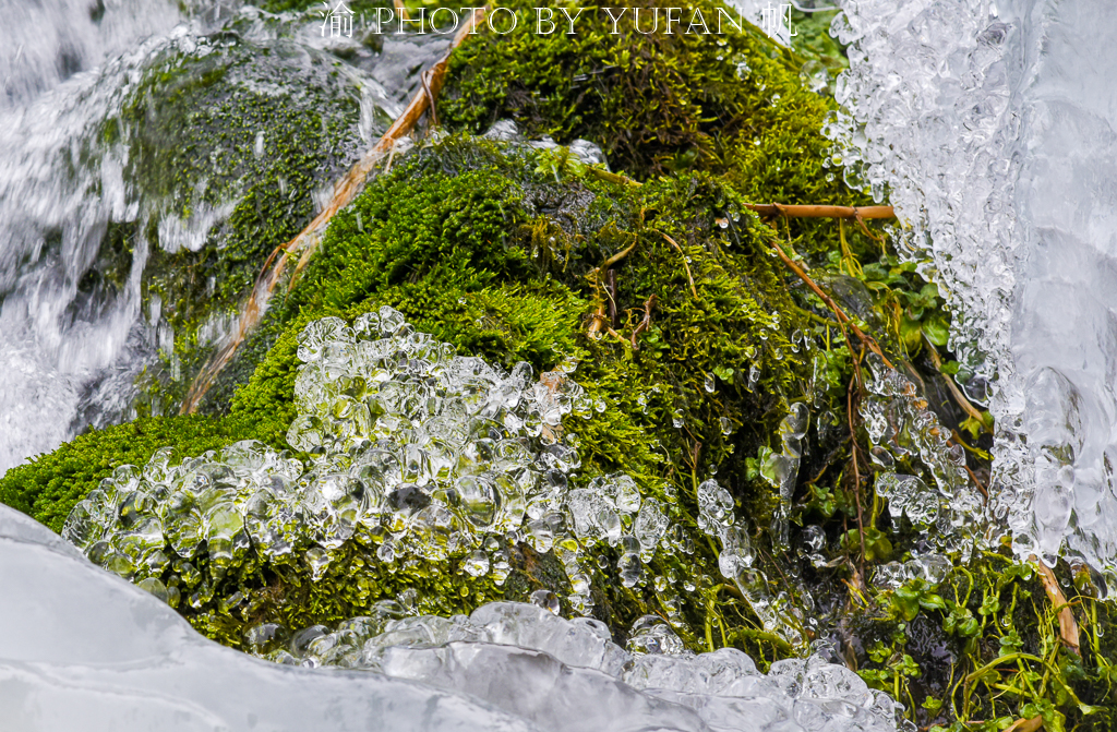 【转】天山深处最美的童话步道