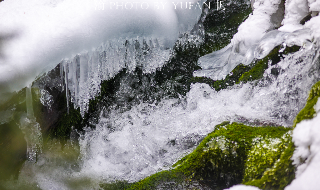 【转】天山深处最美的童话步道
