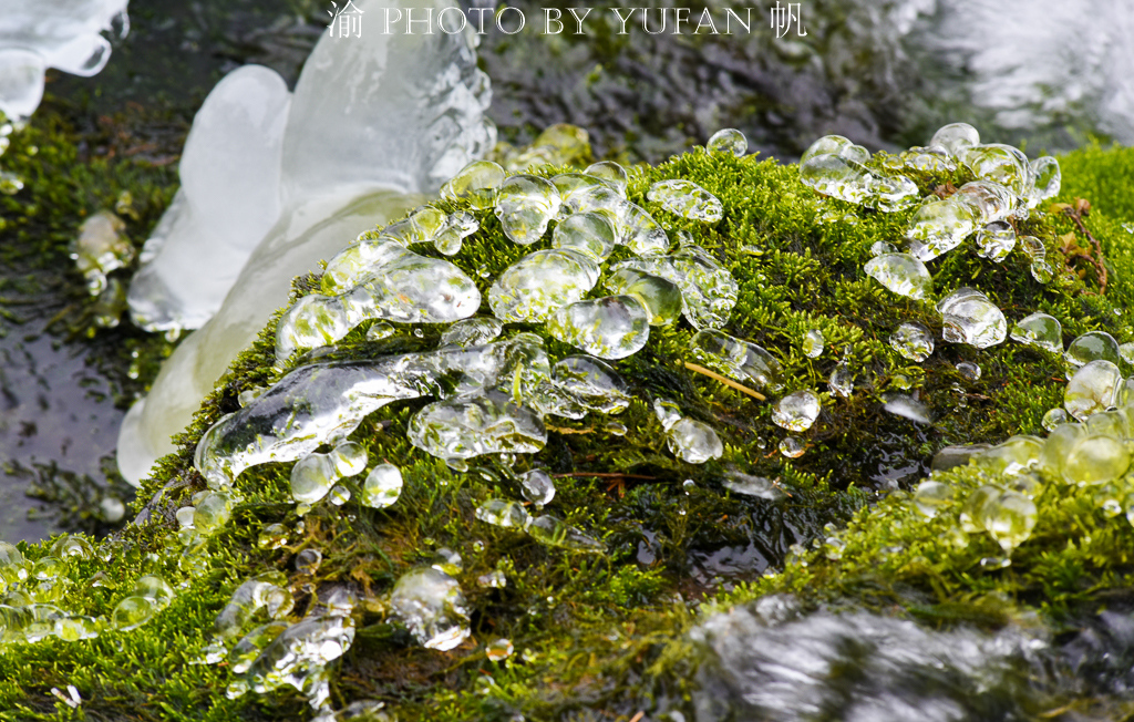 【转】天山深处最美的童话步道