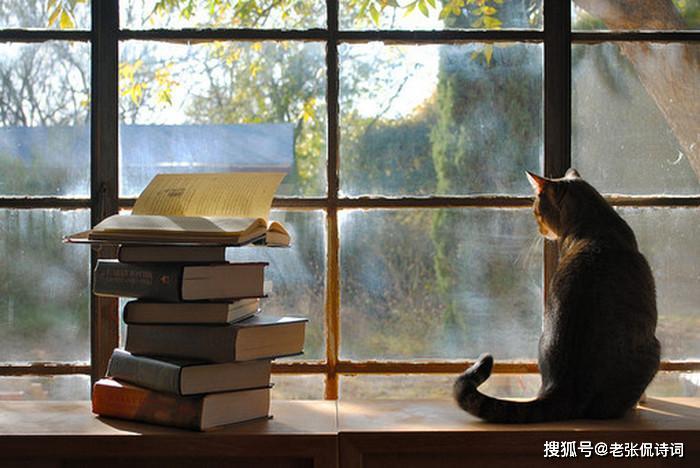 苏轼最经典的宋词名句,“一蓑烟雨任平生”,这七个字究竟啥意思