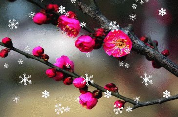 文殊菩萨传奇