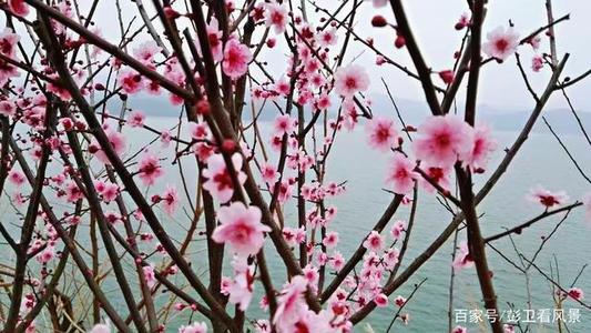 文殊菩萨传奇