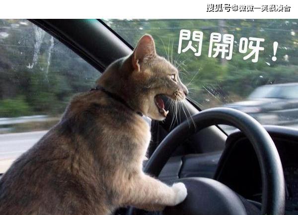 不要在青葱岁月里一味地装蒜